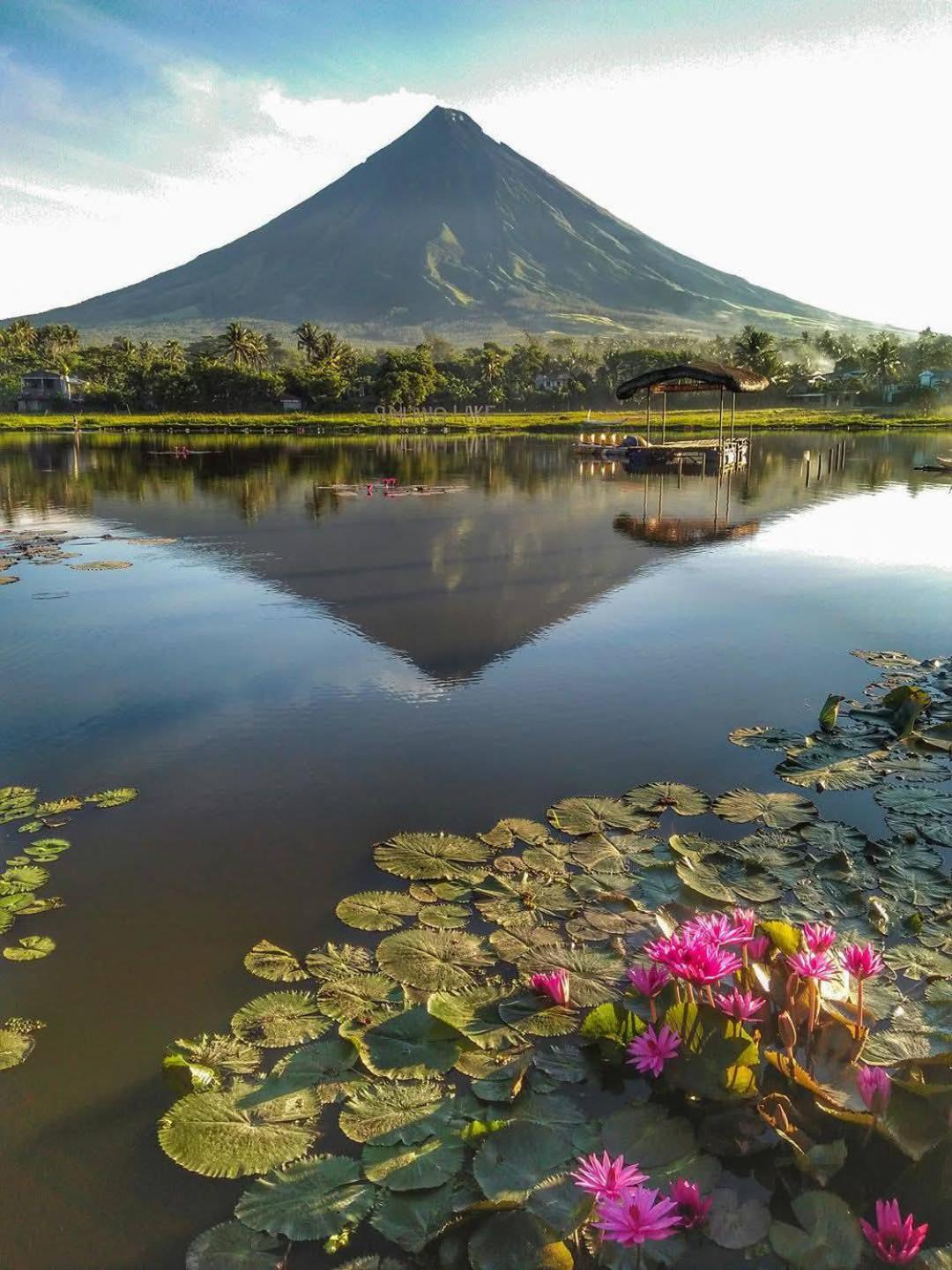 Fernando'S Hotel Sorsogon エクステリア 写真